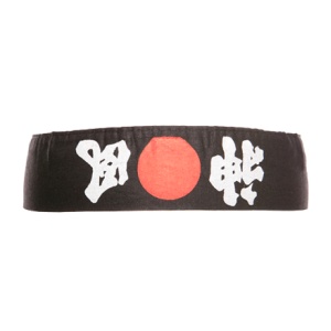 Karate Headband