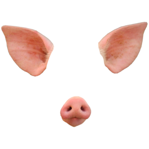 Pig Face