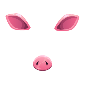 Cartoon Pig Face