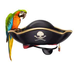 Pirate Hat with Parrot