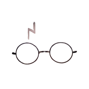 Boy Wizard Glasses