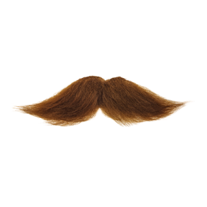 Bushy Mustache