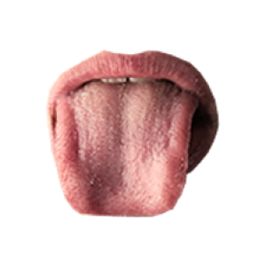 Disgusted Tongue