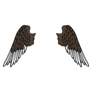 Eagle Wings