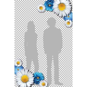 blue daisies overlay