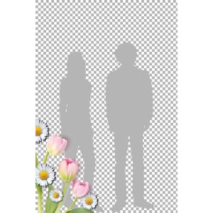 spring flowers overlay